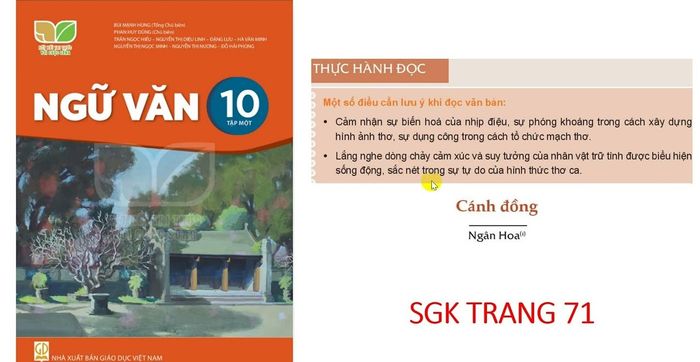 Hình ảnh minh họa (Nguồn internet) Ảnh 1