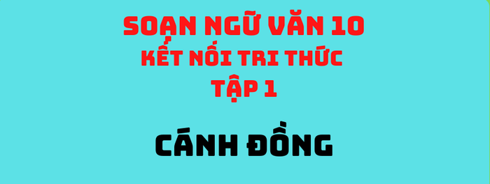 Hình ảnh minh họa (Nguồn internet) Ảnh 1