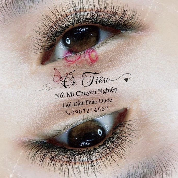 Khoảnh khắc thực hành chuyên nghiệp tại Ốc Tiêu Eyelash