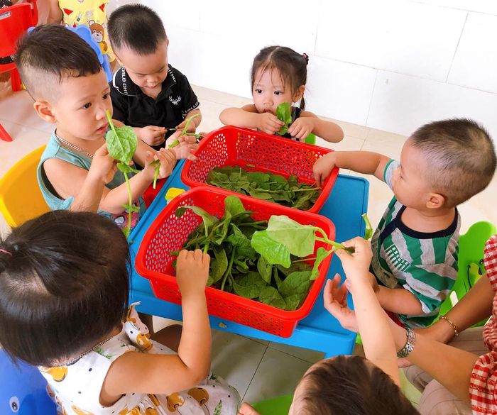 Nhóm Trẻ Đô Rê Mon ảnh 2 - Khoảnh khắc vàng lưu giữ tuổi thần tiên