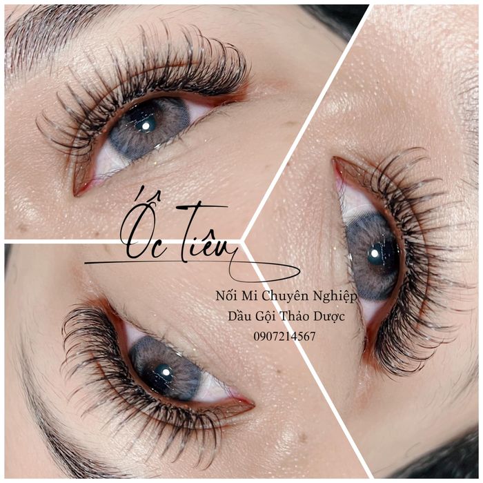 Hình ảnh ấn tượng về không gian đào tạo tại Ốc Tiêu Eyelash