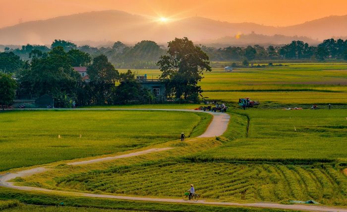 Ảnh minh họa từ nguồn internet - Ảnh 1