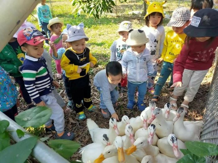 Hình ảnh trải nghiệm tại Nông Trại Giáo Dục Vườn Camp