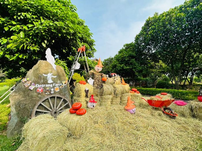 Hoạt động trải nghiệm nông nghiệp tại Detrang Farm
