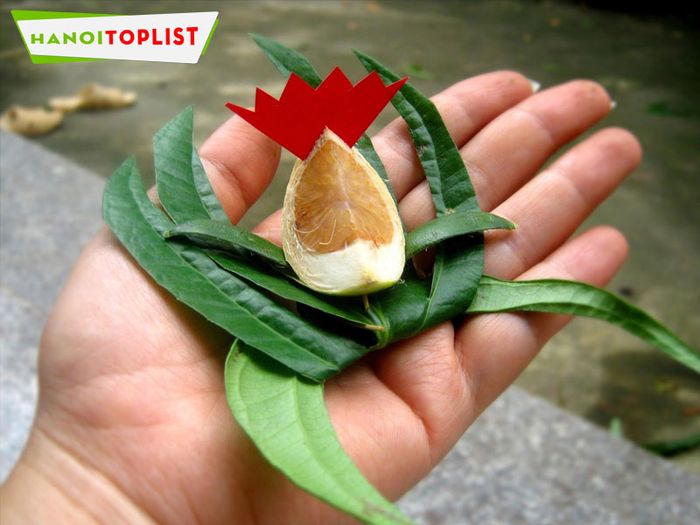 xem-boi-co-huong-Tripi