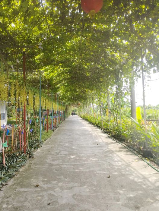 Không gian xanh mướt tại Hải Đăng