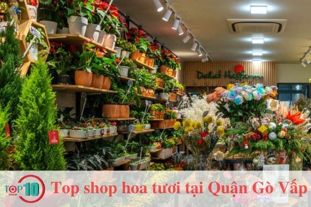 Dalat Hasfarm - Vương quốc hoa tươi cao cấp