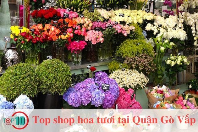 Hana's House - Nghệ thuật kết hoa đỉnh cao