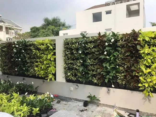 Quang Anh tự hào lọt top 10 đơn vị cung cấp đất trồng rau sạch uy tín nhất TP.HCM