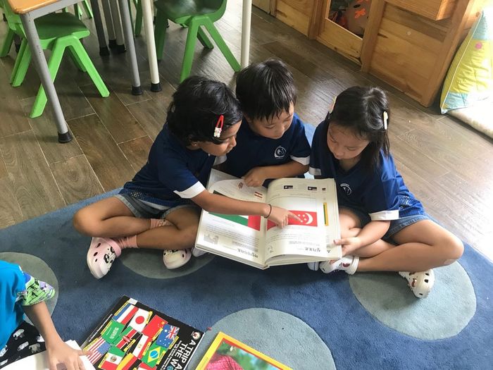 Hình ảnh khuôn viên xanh mát tại Trường Quốc tế QSI Hải Phòng