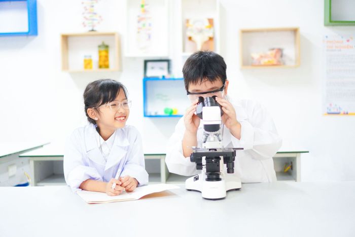 Hình ảnh giờ học STEM đầy hứng khởi tại Alpha Hải Phòng