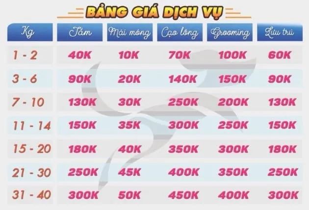 Hệ sinh thái chăm sóc toàn diện cho thú cưng tại Thủ Đức