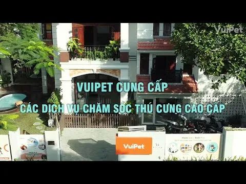VuiPet | Hệ sinh thái đa dịch vụ: Spa cao cấp - Khách sạn sang trọng - Khu vui chơi - Hồ bơi riêng biệt