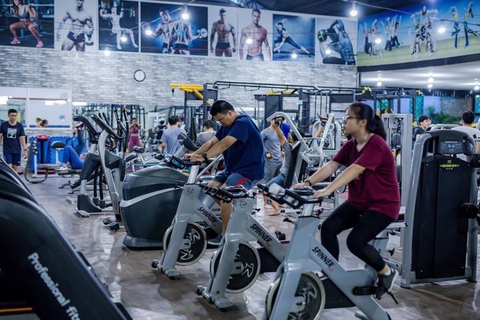 Thể Thao HOÀNG GIA – Góc nhìn khác từ phòng tập hiện đại