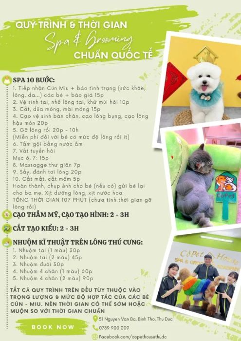 Dịch vụ spa thú cưng cao cấp tại Thủ Đức