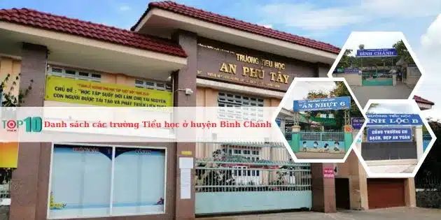 Danh sách các trường tiểu học uy tín hàng đầu khu vực Bình Chánh, TP.HCM