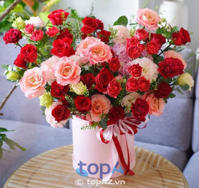 FLoLi An Giang - Tinh hoa từ những cánh hoa tinh khiết