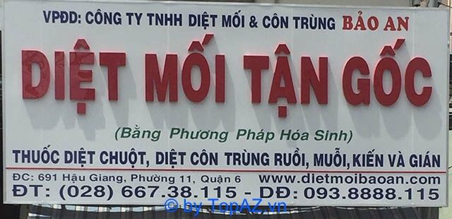 Công ty diệt mối uy tín tại Quận 6