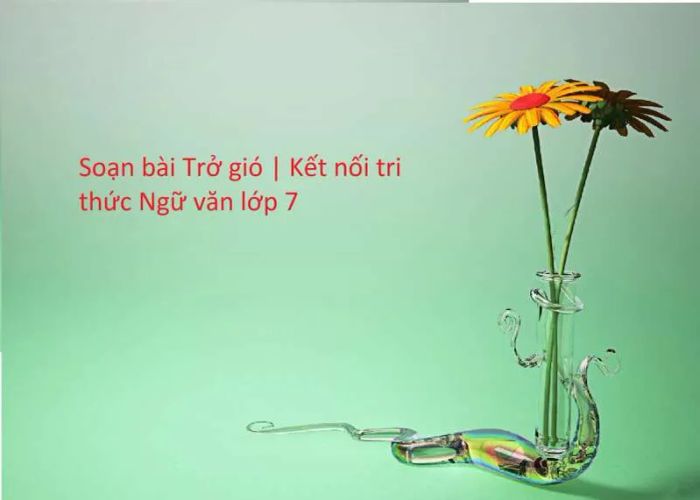 Hình ảnh minh họa số 1 - Nguồn từ internet