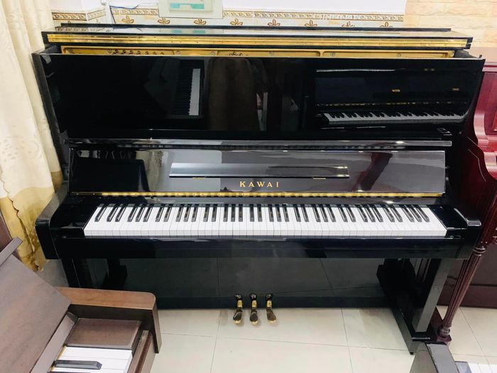 Hồng Nhân Music - Góc nhìn đầu tiên về thế giới âm nhạc đẳng cấp