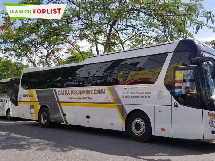 xe-limousine-cat-ba-discovery-dich-vu-limousine-ha-noi-hai-phong-uy-tin-Tripi