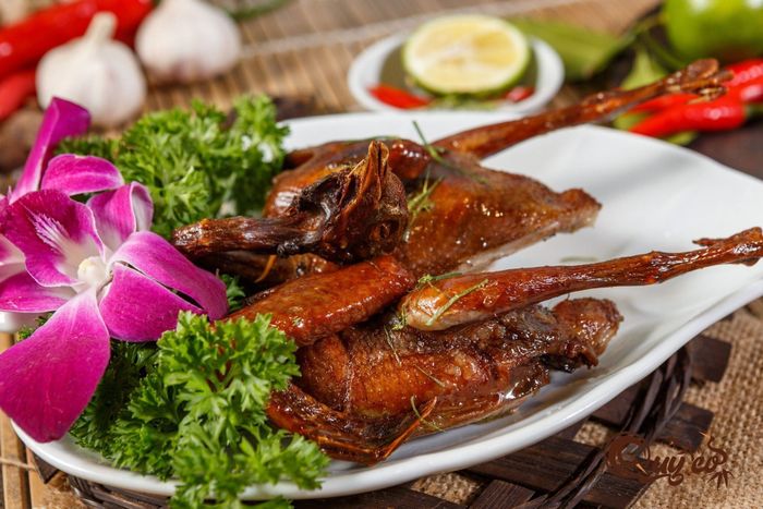 Chim quay vàng ươm hình ảnh