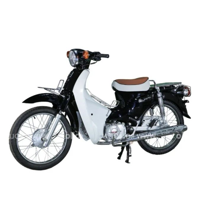 Hình ảnh xe Cub Rollo phiên bản 1
