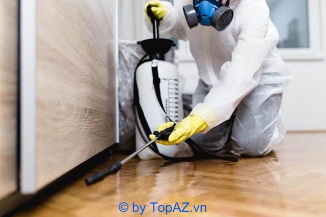 Công ty diệt mối tại Quận 6, với đội ngũ chuyên nghiệp và quy trình làm việc khoa học, luôn mang đến cho khách hàng sự an tâm tuyệt đối.