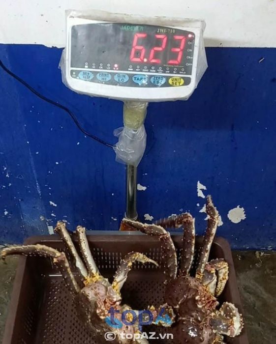 Mua Cua Hoàng Đế tươi sống với giá tốt tại Lộc Biển Seafood