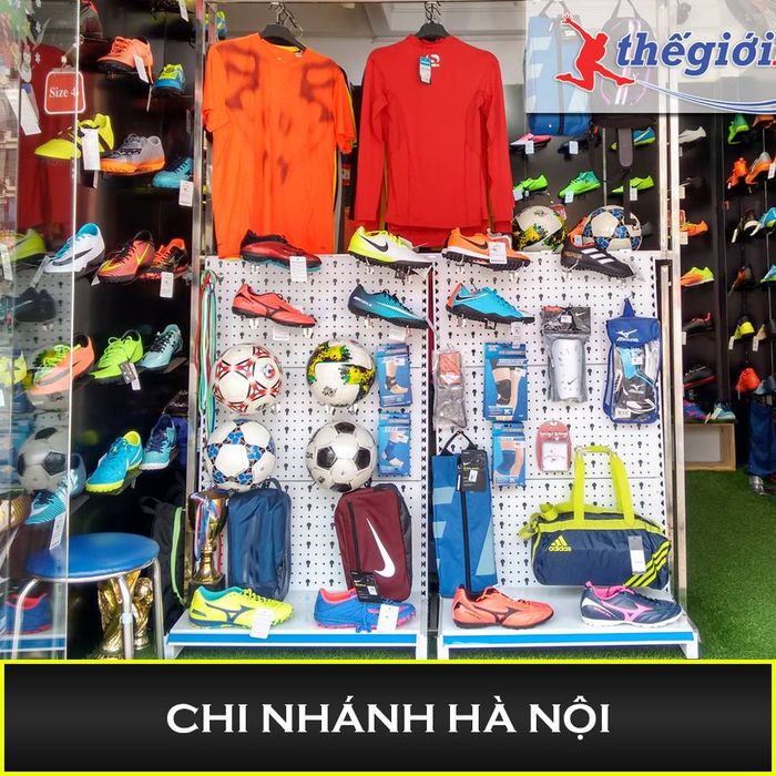 Ảnh minh họa Thế Giới Bóng Đá số 1