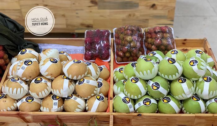 Tuyết Hùng Fruits hình ảnh 1