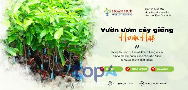 Vườn cây giống tại Đồng Nai