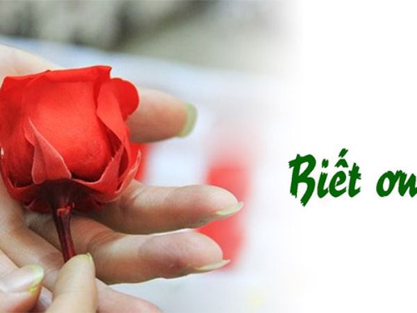 Tranh minh họa đặc sắc (Nguồn: internet) - Ảnh 1