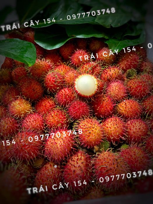 Trái Cây 154 hình ảnh 2