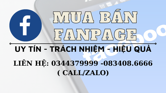 Hình ảnh minh họa dịch vụ fanpage Trịnh Tình