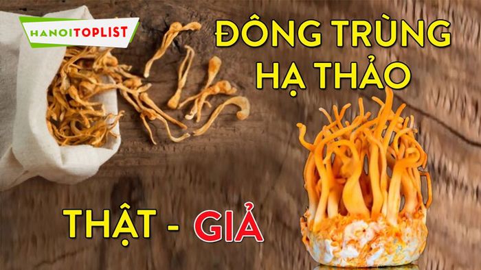 bi-quyet-chon-dong-trung-ha-thao-chuan-chat-luong-Mytour