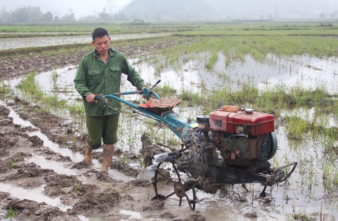 Hình ảnh minh họa chân thực (Nguồn: Internet)