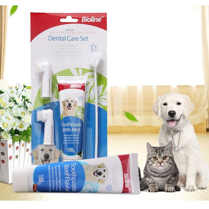 Hình ảnh chi tiết bộ sản phẩm kem đánh răng Bioline – Dental Care Set ảnh 2