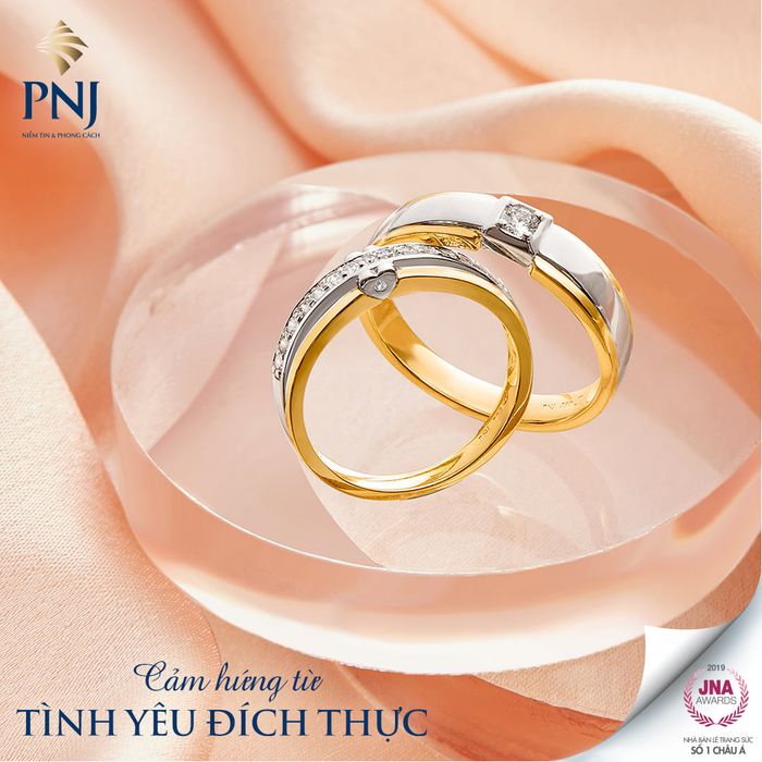 PNJ - Ảnh Minh Họa 3