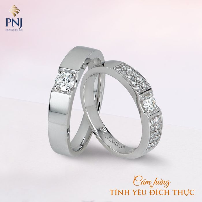 PNJ - Ảnh Minh Họa 2