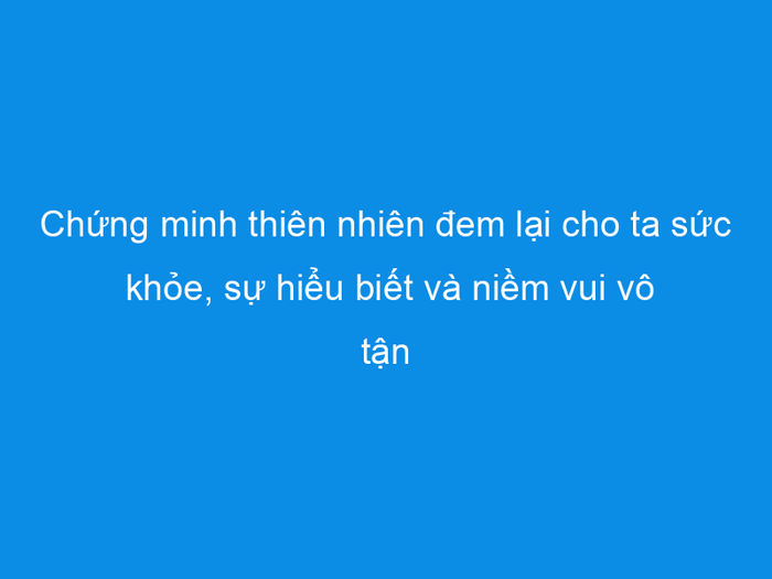 Ảnh minh họa gợi cảm hứng từ thiên nhiên bao la (Nguồn: Internet) ảnh 1