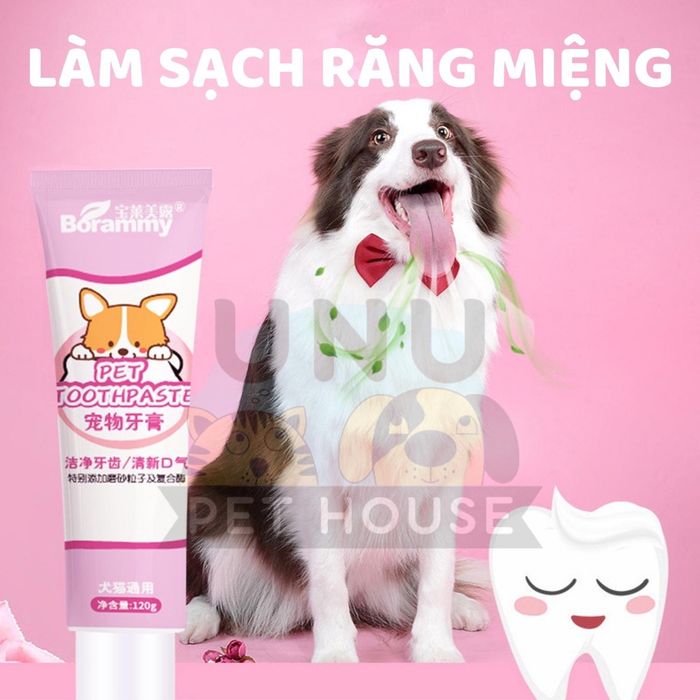 Hình ảnh sản phẩm làm sạch răng miệng Borammy cho chó mèo - ảnh 2