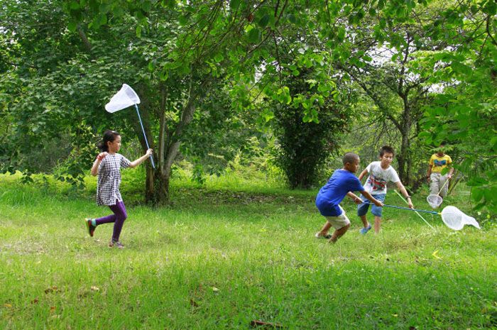 Ảnh minh họa – Cảnh quan thiên nhiên tươi đẹp, nơi hội tụ thanh âm và màu sắc của sự sống (Nguồn: Internet) ảnh 1