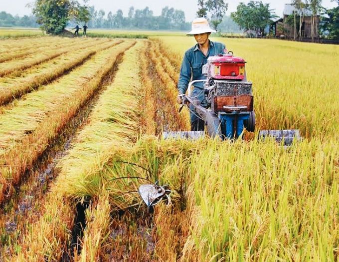 Hình ảnh minh họa chân thực (Nguồn: Internet)