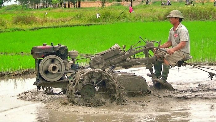 Hình ảnh minh họa chân thực (Nguồn: Internet)