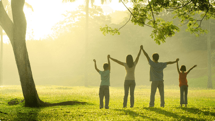 Ảnh minh họa – Thiên nhiên: chiếc nôi nuôi dưỡng sự sống và cảm xúc của con người (Nguồn: Internet) ảnh 1
