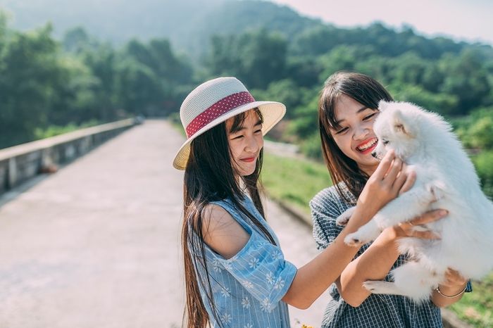 Hình ảnh minh họa số 1 - Nguồn tham khảo từ Internet
