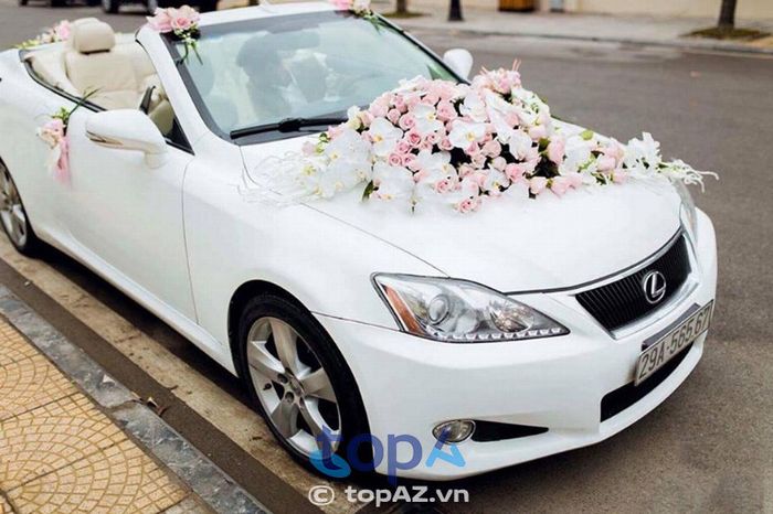 Gotour Quy Nhơn - Đẳng cấp xe hoa mui trần