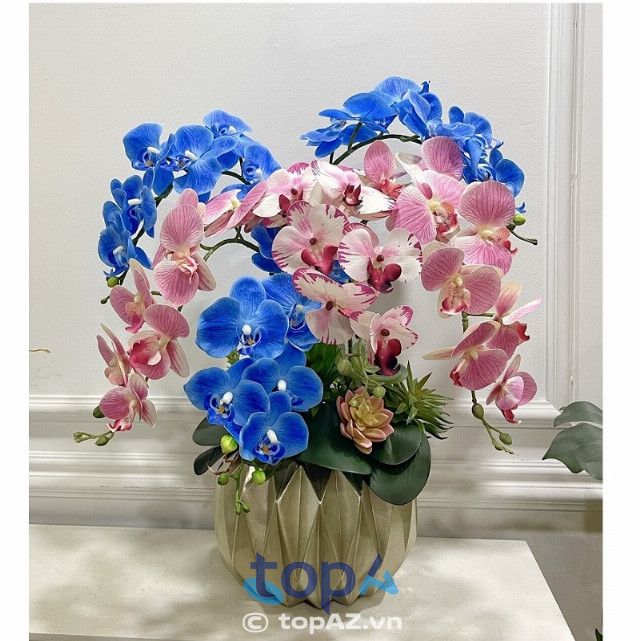 FLoLi - Shop hoa tươi nghệ thuật tại Bình Thạnh