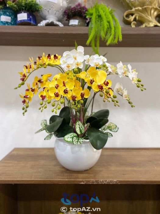 Hồng Nhung Flower - Gửi trọn yêu thương qua từng cánh hoa